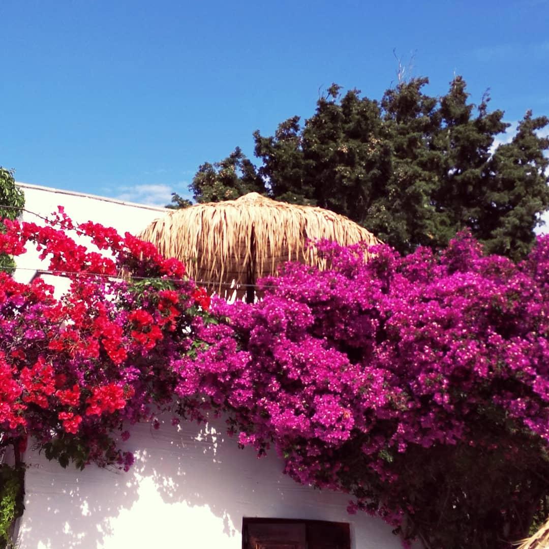 Naxos Summerland Resort Kastraki  Bagian luar foto